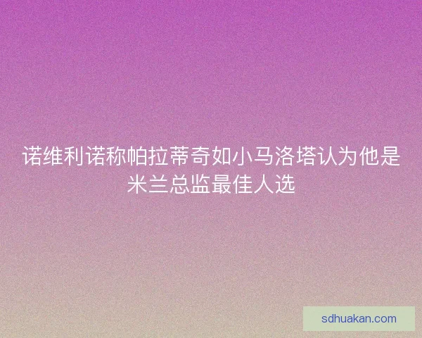 诺维利诺称帕拉蒂奇如小马洛塔认为他是米兰总监最佳人选